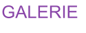 GALERIE